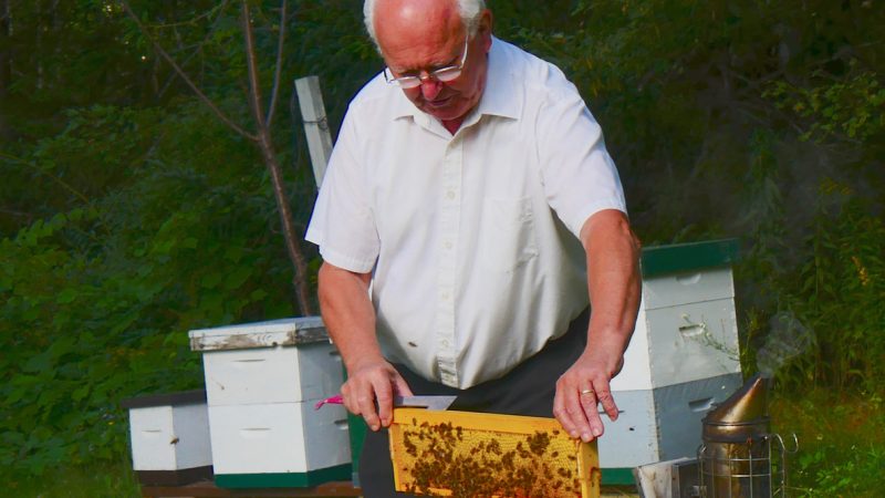 Paul Vautour Beekeeping Inspection